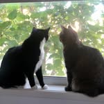 cleo__n_tash profile picture