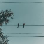 click.artist26 profile picture