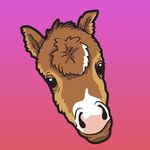clipclopchloe profile picture