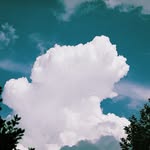 clouds.say.hello profile picture