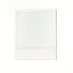 clovergreenstudio profile picture