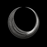 clstlcouncil profile picture