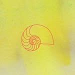 club_caracol profile picture