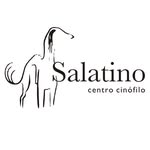 clube_salatino profile picture