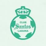 clubsantosfemenil profile picture