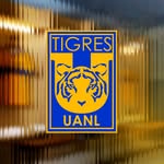 clubtigres profile picture