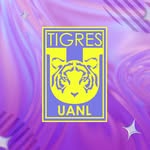clubtigresfemenil profile picture