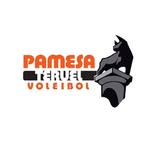 clubvoleibolteruel profile picture