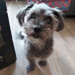 clumpychunks profile picture