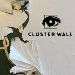cluster_wall profile picture