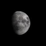 cmerolln profile picture