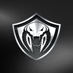 cobraexhaust profile picture