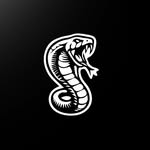 cobrasobradigital profile picture