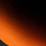 cocamichelle profile picture