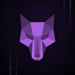 codehunterbr profile picture
