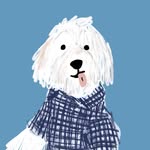 codycuddlebug profile picture