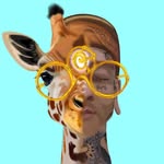 codyjoshua_healingsounds profile picture