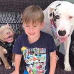 codyzak754 profile picture