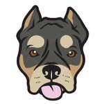 cogs_dogs profile picture