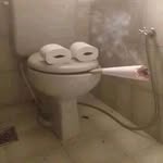 coisaspvercagando profile picture