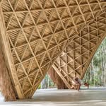 colab_tulum profile picture