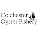 colchesteroysters profile picture