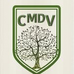 colegiomiradelvergel profile picture