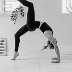 collectivefitnessbylotty profile picture