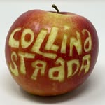 collinastrada profile picture