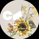 colore_de_saison profile picture