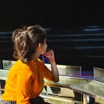 colours_and_coralzs profile picture