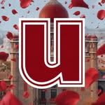 communitie.festivals profile picture
