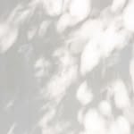 con_____calma profile picture