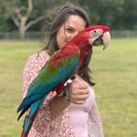 concerningparrots profile picture