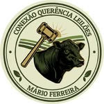 conexaoquerencialeiloes profile picture