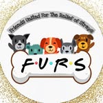 connectwithfurs profile picture