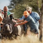 conservationconvos profile picture
