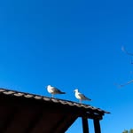 constanta.diary_e profile picture