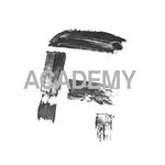 contentacademy.io profile picture
