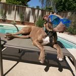 cooper__k profile picture