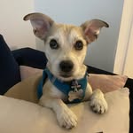 cooperterrsitup profile picture