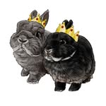 cooperthepooper profile picture