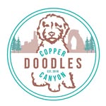 coppercanyondoodles profile picture