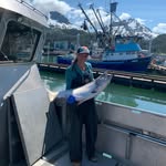 copperriverfishmarket profile picture