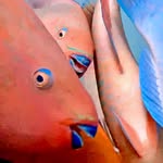 coralcitycamera profile picture
