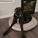 corbin_fosters profile picture