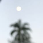 coromotodelosangeles profile picture