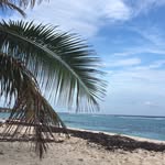 coryburke_photography profile picture