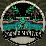 cosmic_mantids profile picture