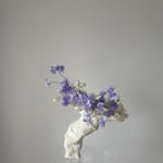 cosmosandplums profile picture